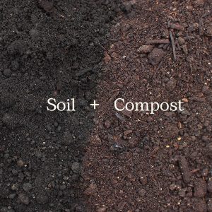 Soil + Compost