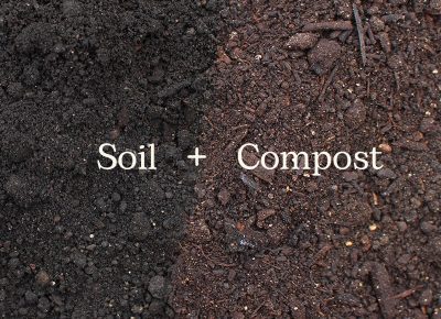 Soil + Compost