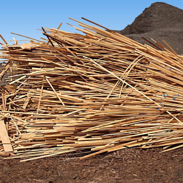 Sticks - Mulch
